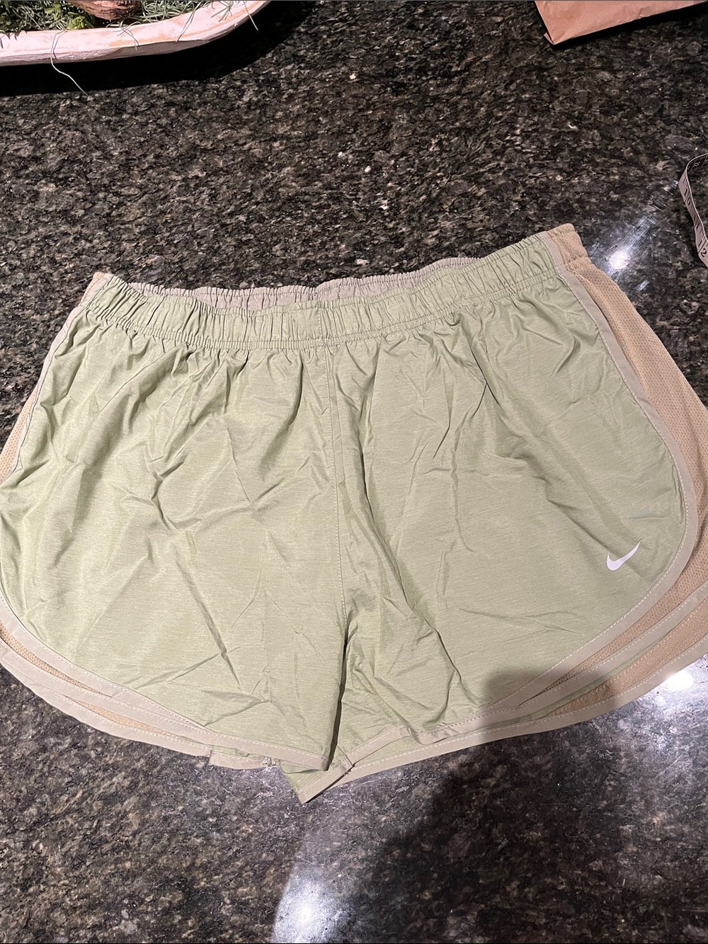 Nike Women's Sage Green Athletic Running Shorts with Tan Trim XXL